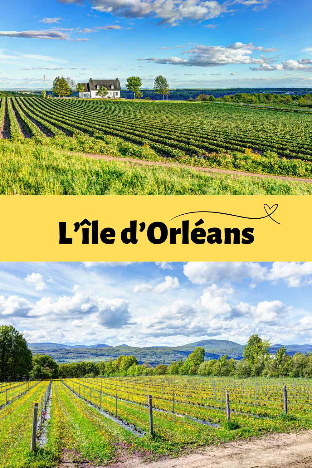 Champ verdoyant de l'Île d'Orléans au Québec