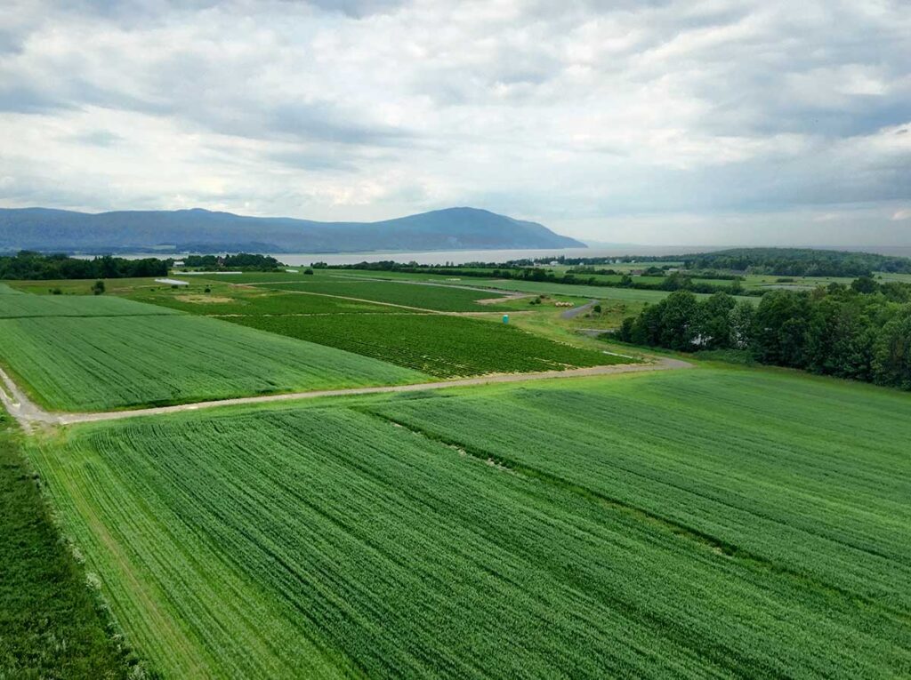 vue depuis la tour d'observation St-François, Île d'Orléans, Quéebec