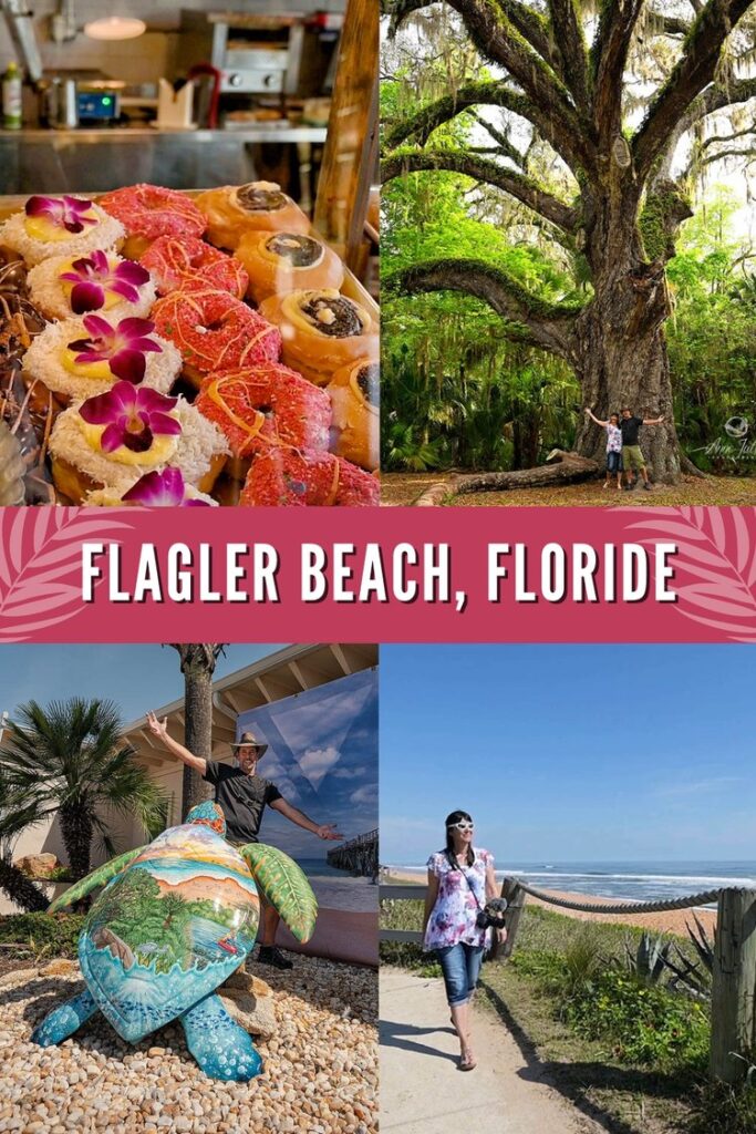 Pin Flagler Beach, Floride