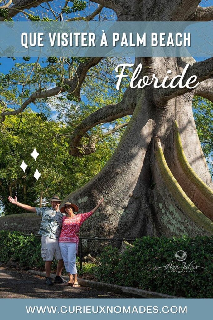 Pin Palm Beach, Floride