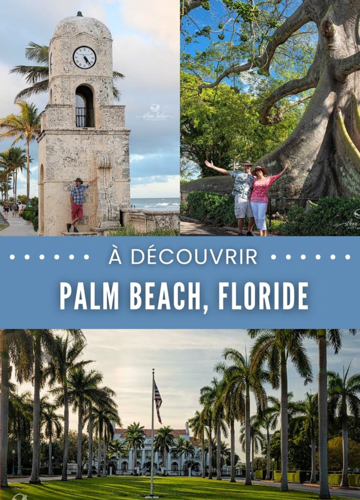 Pin Palm Beach, Floride
