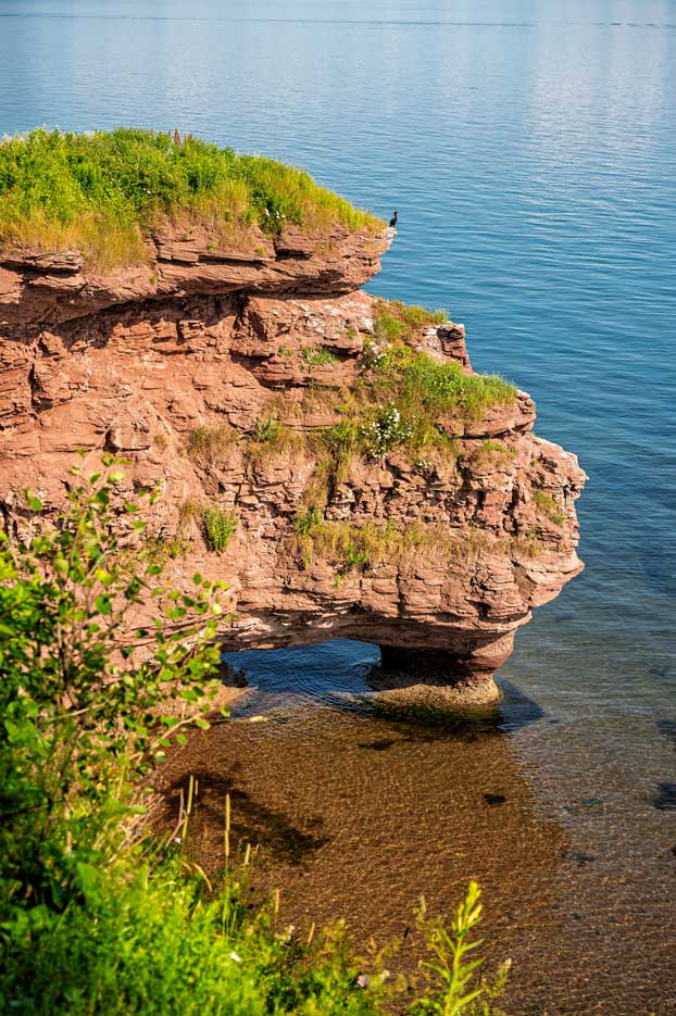 Le rocher de la pointe aux Corbeaux avec de grands cormorans juchés sur les strates saillantes de la falaise
