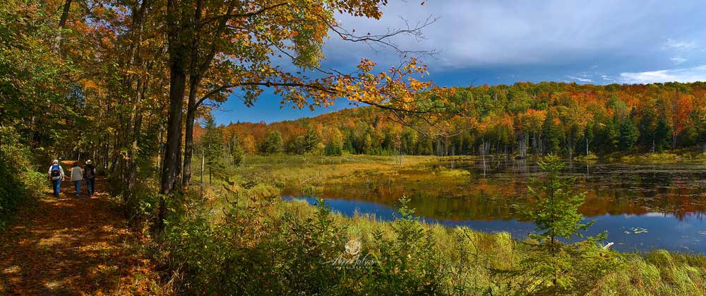 Sentier en automne, Mont Orford, Qc