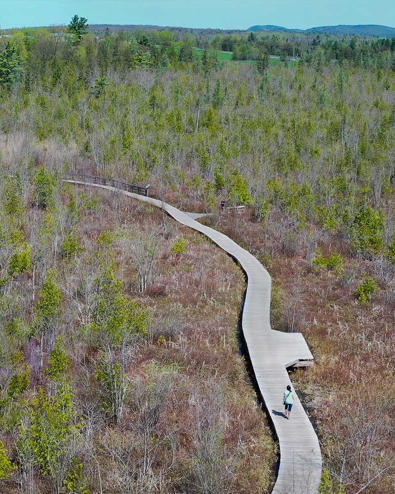 sentier sur pilotis, marais aux cerises, Magog