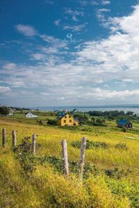 Champ de l'Île Verte avec petite maison jaune