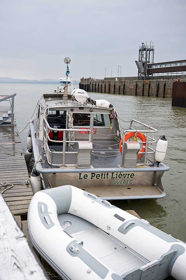 bateau pour les excursions en mer avec Duvetnor