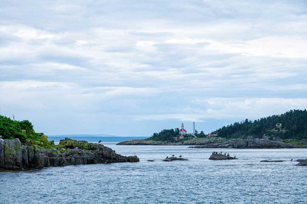 vue de l'île Pot à l'Eau-de-vie, excursion Duvetnor